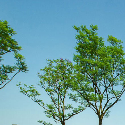 城市環境作品案例展示