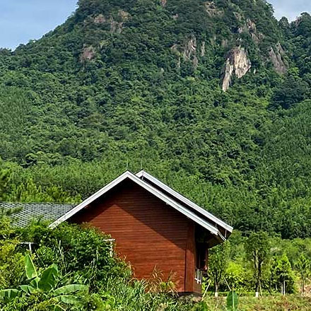 項目實施作品案例展示